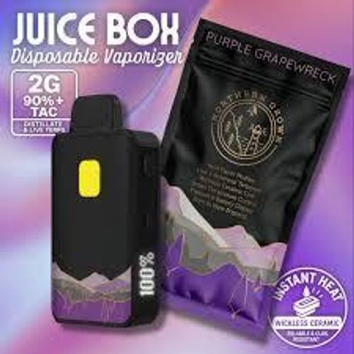 Northern Grown | 2g Purple Grape Wreck Disposable 