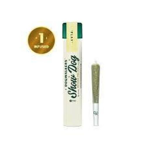 Dogwalkers | 1g Frozen Margarita Diamond Infused Preroll