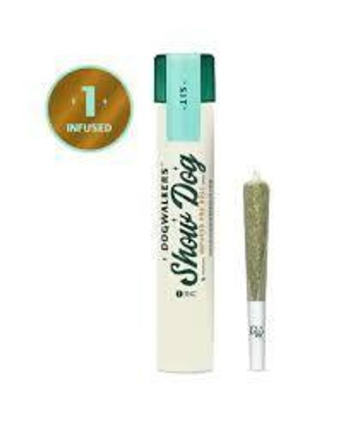 Dogwalkers | 1g Brownie Scout Diamond Infused Preroll