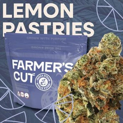 Farmer's Cut | 3.5g Lemon Pastries Flower