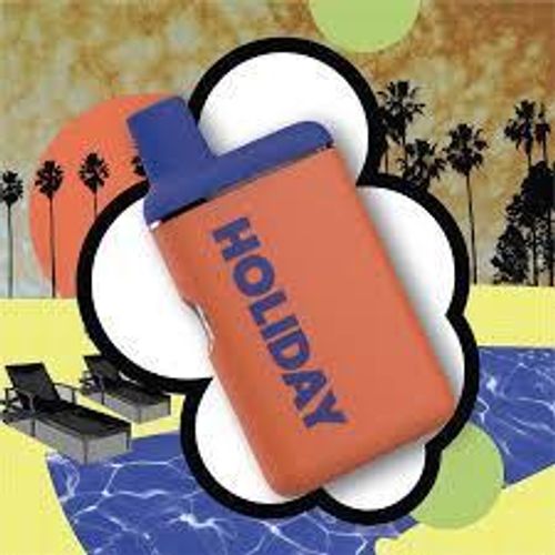 Holiday | 2g Leisure Disposable 