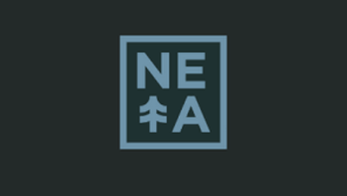 NETA | 0.75g Trop Top Preroll