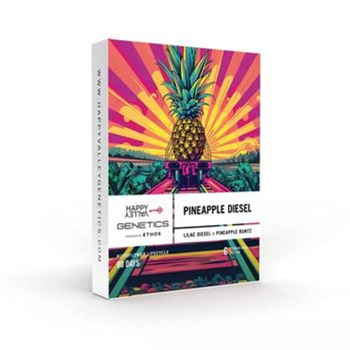 Happy Valley | 6 Pack Pineapple Diesel ( Auto Flower ) Seeds 