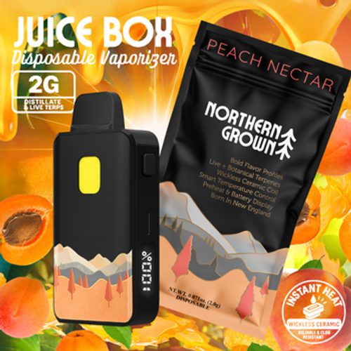 Northern Grown | 2g Peach Nectar Disposable 