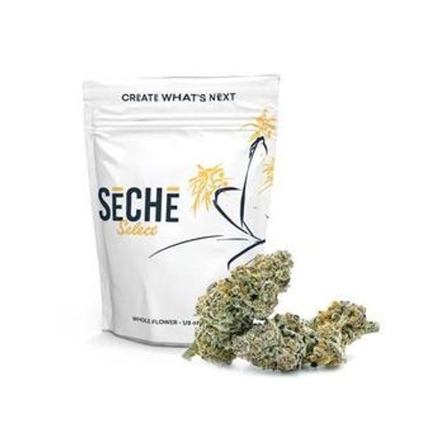 Seche | 3.5g Nitromethane Flower