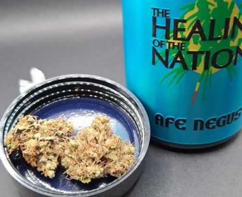 The Healing of the Nations X Afe Negus