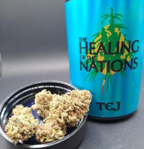  The Healing of The Nations X TEJ