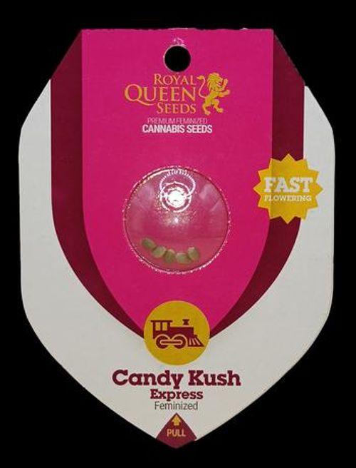 ROYAL QUEEN SEEDS FEMINIZED CANDY KUSH EXPRESS 5PK