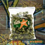 The Plug Pack | Flower | 28g | Sapphire Haze | THC 26.28% | Hybrid